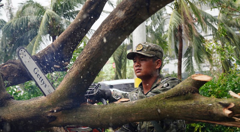 武警?？谥ш?duì)官兵清理被風(fēng)吹倒的樹木