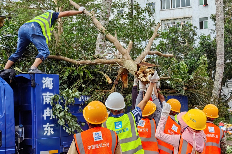 2.救援人員在文昌市教育局現(xiàn)場清理倒伏樹木。李玉祥攝