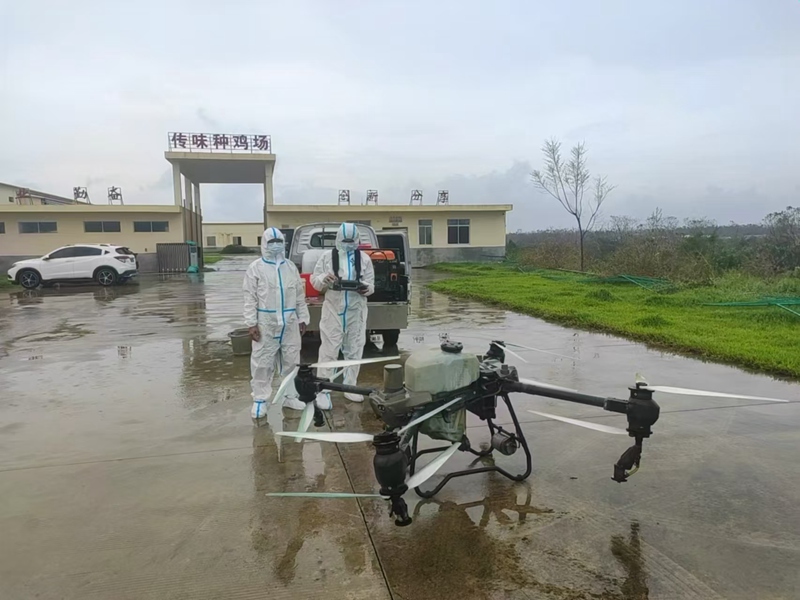 農(nóng)機人員操作無人機執(zhí)行消殺任務。海南省農(nóng)業(yè)農(nóng)村廳供圖