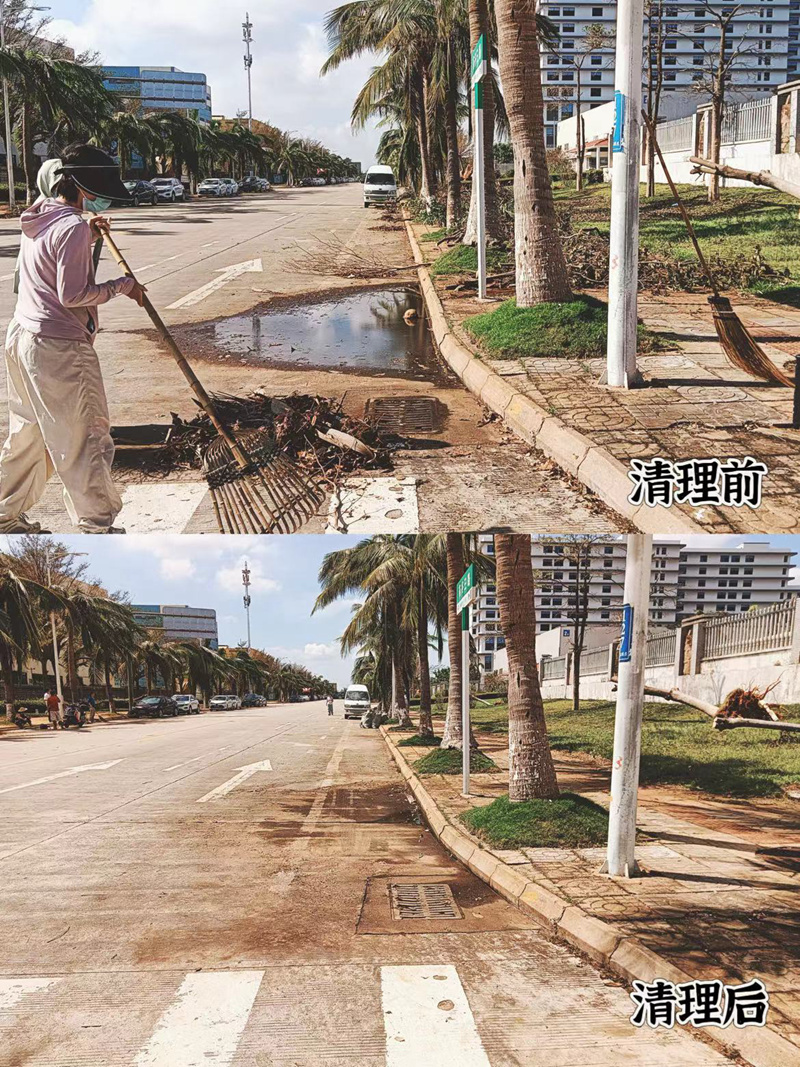 藥谷街道清理前后形成鮮明對比。?？趪腋咝聟^(qū)管委會供圖
