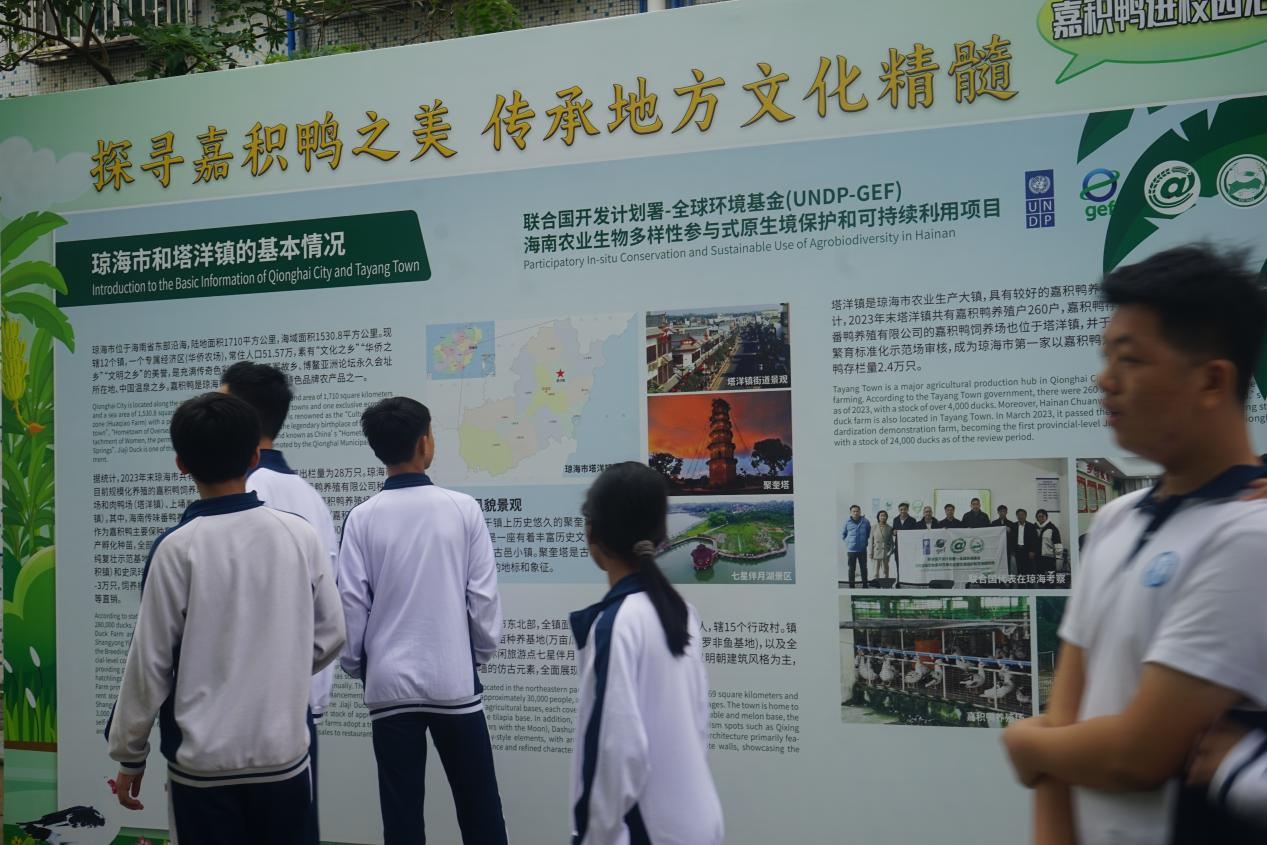同學(xué)們參觀嘉積鴨文化展覽。主辦方供圖