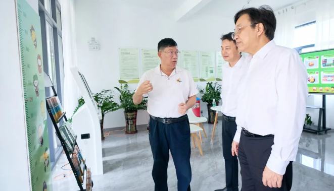 馮飛在保亭督導(dǎo)主題教育開展情況