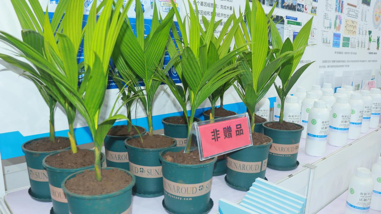 展會現(xiàn)場。實(shí)習(xí)生王騫蘋攝