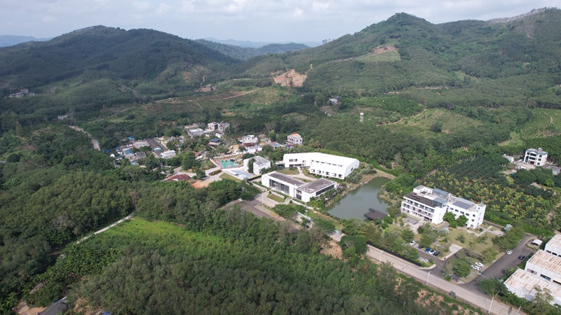 油文村委會航拍景色。孟凡盛攝