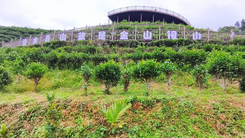 水滿鄉(xiāng)創(chuàng)建“綠水青山就是金山銀山”實踐創(chuàng)新基地。
