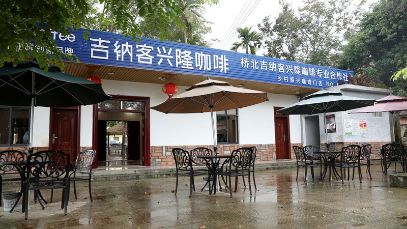 萬寧市南橋鎮(zhèn)橋北村“咖啡議事廳”。符武平攝
