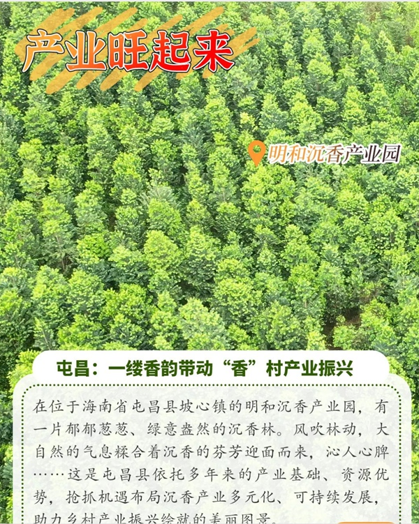 請(qǐng)查收海南美麗鄉(xiāng)村蝶變記