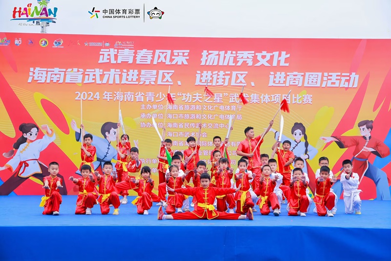 圖說：武術(shù)進景區(qū)、街區(qū)、商圈活動現(xiàn)場。主辦方供圖