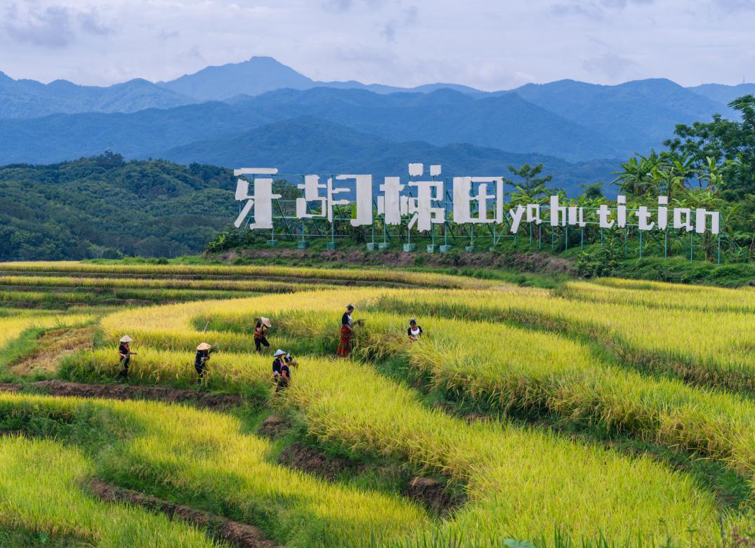 三亞經(jīng)濟(jì)圈鄉(xiāng)村旅游主題線路途經(jīng)旅游點(diǎn)。三亞市旅游和文化廣電體育局供圖