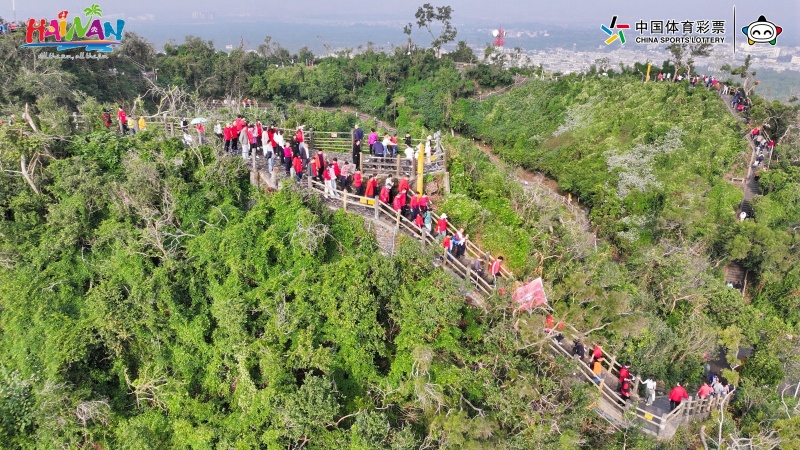 全國新年登高健身大會在海口火山口舉行。 主辦方供圖