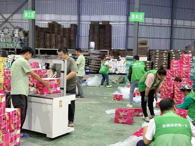 三亞特色果蔬通過包機送往迪拜。三亞市農(nóng)業(yè)農(nóng)村局供圖