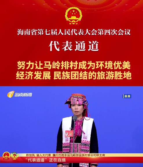 代表通道丨海南省人大代表陳世鳳：努力讓馬嶺排村成為環(huán)境優(yōu)美、經(jīng)濟發(fā)展、民族團結(jié)的旅游勝地