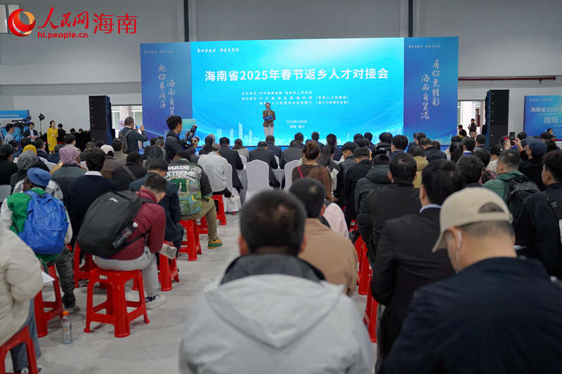 海南省2025年春節(jié)返鄉(xiāng)人才對接會現(xiàn)場。 人民網(wǎng)記者 孟凡盛攝12.JPG