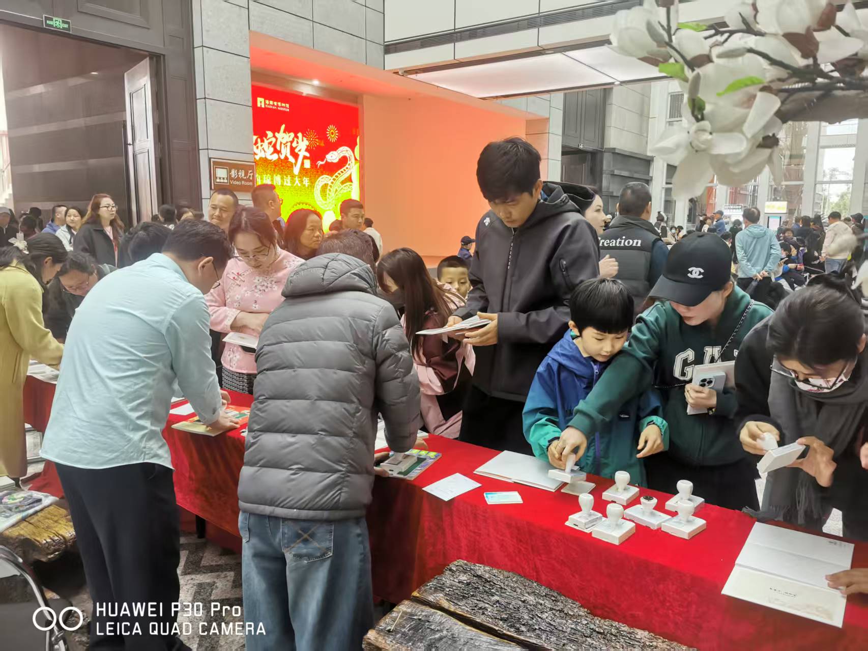 海南省郵政分公司攜手省博物館開展“金蛇賀歲 相約瓊博過大年—巳巳如意”生肖文化推廣活動(dòng)現(xiàn)場(chǎng)。黃文燕攝