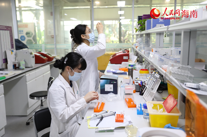 年輕的科研人員專注于實(shí)驗(yàn)工作。 人民網(wǎng)記者 孟凡盛攝