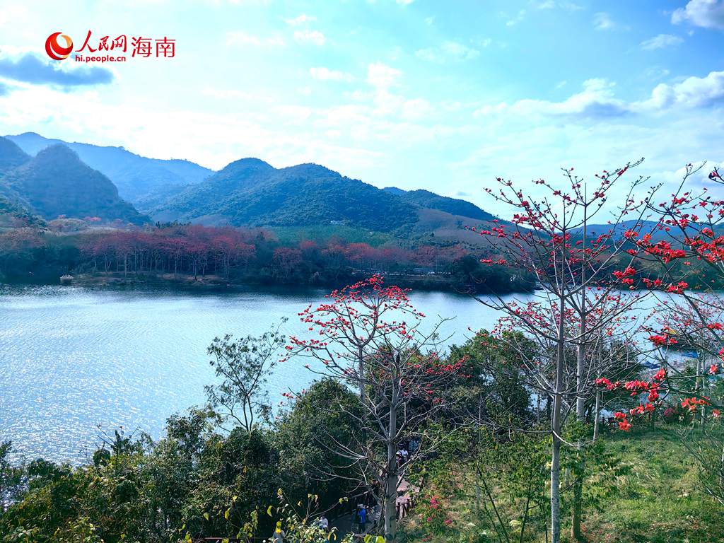 木棉花與青山、江水相得益彰，構成一幅生機盎然的秀麗畫卷。人民網(wǎng) 吳占桂攝