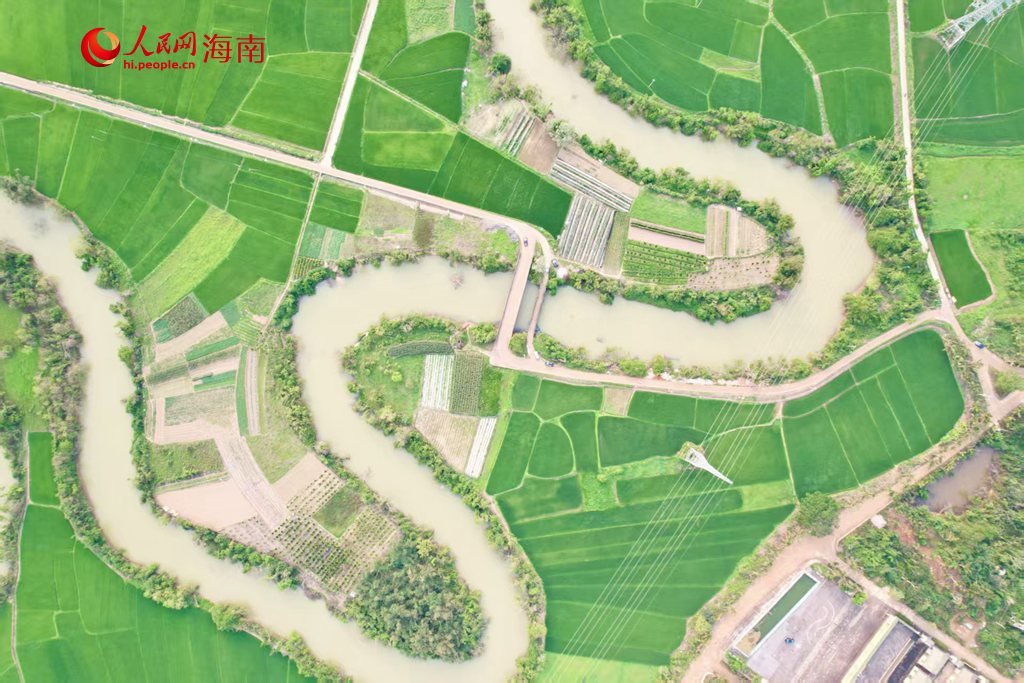兩岸稻田與蜿蜒曲折的河道交織成一幅秀美的春日畫卷。人民網(wǎng) 吳占桂攝