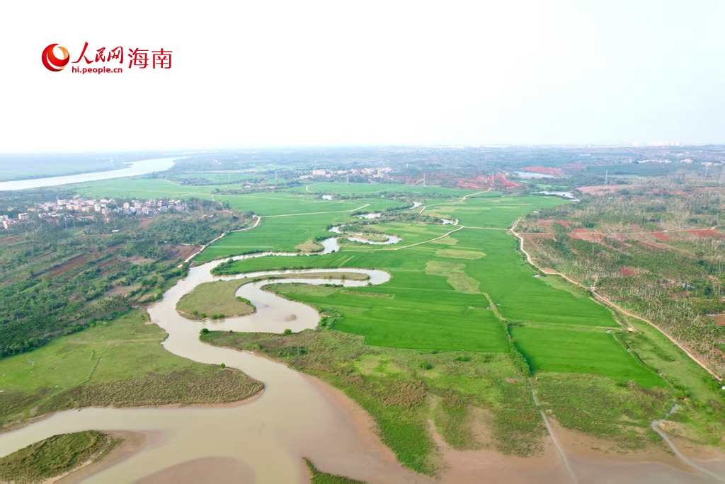 三十六曲溪滋潤了周邊廣闊的農(nóng)田，形成了壯觀的農(nóng)田景觀。人民網(wǎng) 吳占桂攝