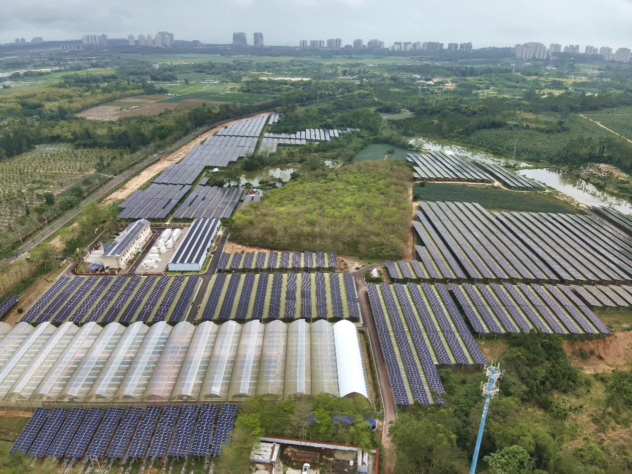 瓊海博鰲農(nóng)光互補基地。宋印官攝