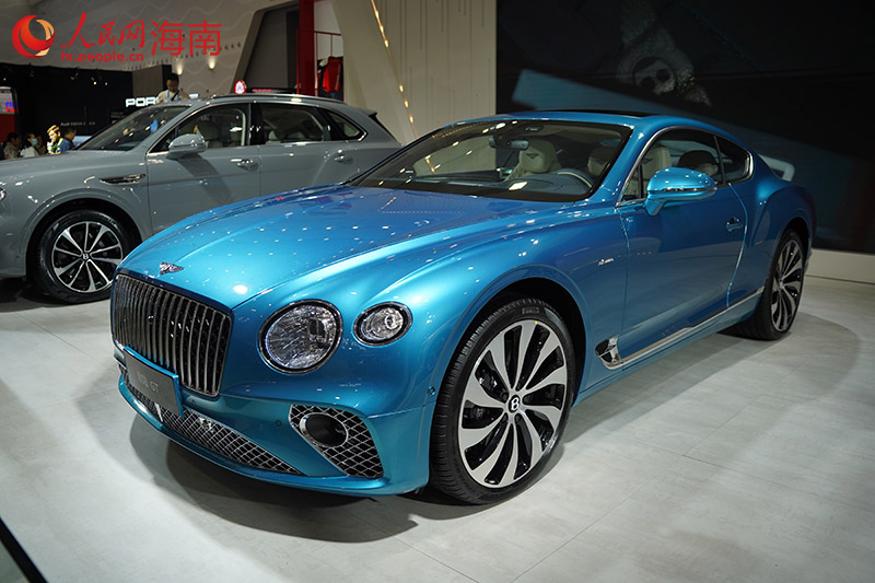 汽車類展品。 人民網(wǎng)記者 孟凡盛攝