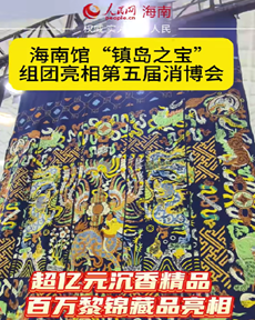 海南館“鎮(zhèn)島之寶”組團亮相