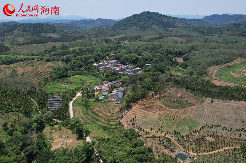 瓊中黎族苗族自治縣長征鎮(zhèn)深聯(lián)村。 人民網(wǎng)記者 孟凡盛攝.JPG