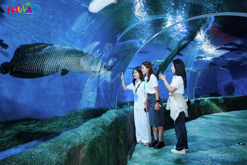 媒體團(tuán)成員與海洋動物近距離接觸。主辦方供圖