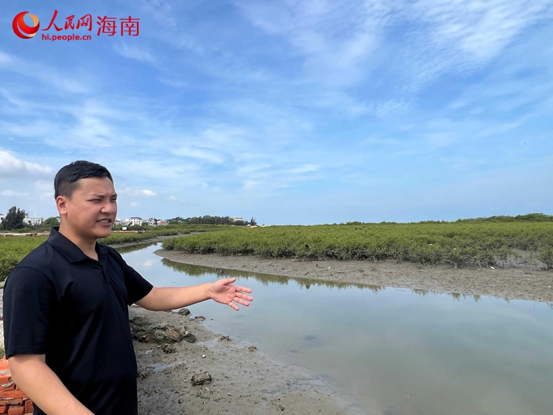 林宏政介紹紅樹林保護(hù)修復(fù)成效。人民網(wǎng)記者 李學(xué)山攝.jpg