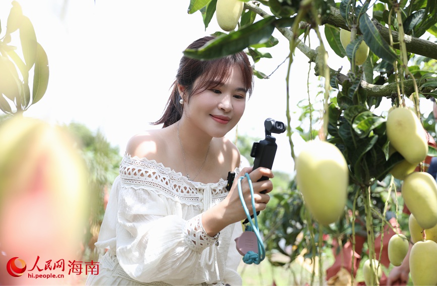 網(wǎng)絡(luò)主播參加“甜美昌江行·夏品芒果香”活動(dòng)。人民網(wǎng)記者 符武平攝