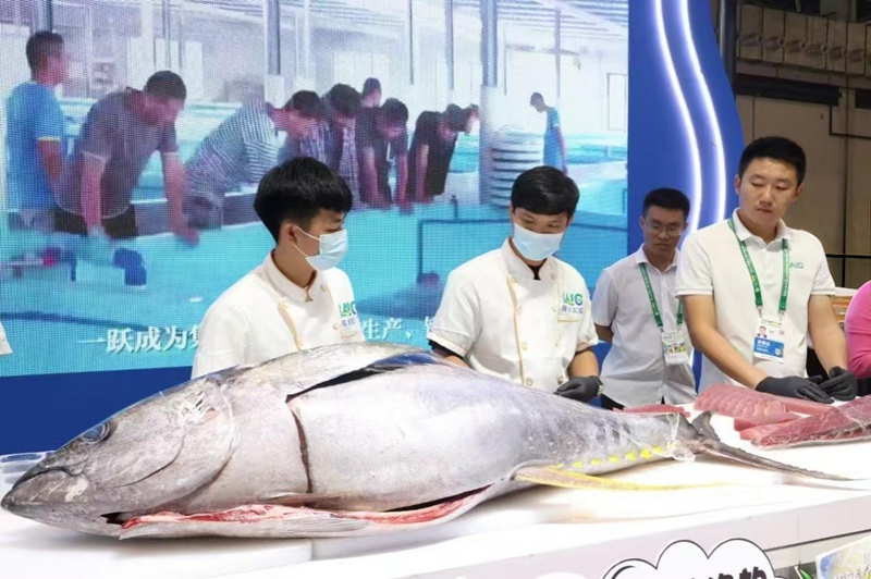 行進(jìn)中國｜下一個(gè)目標(biāo)→金槍魚自由