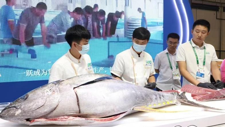 下一個(gè)目標(biāo)→金槍魚自由“先讓海南人吃得起，再讓全國人民實(shí)現(xiàn)‘金槍魚自由’！” 馮義韜站在南海之濱，目光堅(jiān)定……