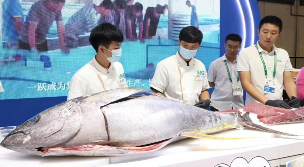 下一個目標(biāo)→金槍魚自由
