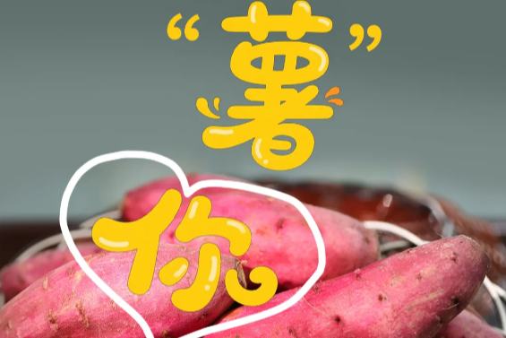 昌江好“薯”光，一口淪陷！