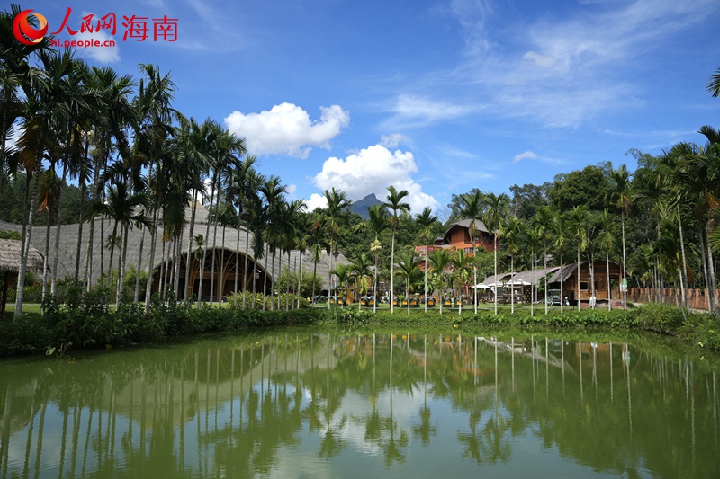 毛納村美景如畫。人民網(wǎng)記者 符武平攝