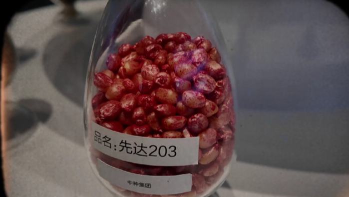 海南藏了“雙芯”密碼！中國“南繁硅谷”在海南三亞！這里是未來科技前沿陣地，種子基因碰撞深海奧秘……