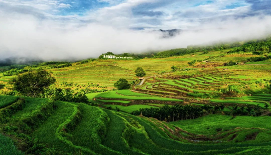 這個(gè)夏天，在五指山這座翡翠山城邂逅詩(shī)與遠(yuǎn)方