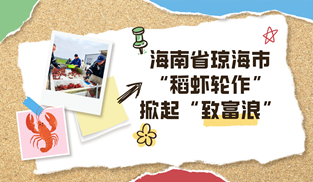 海南省瓊海市“稻蝦輪作”掀起致富浪