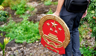 荔枝樹下的巡回審判