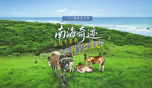 南海奇跡——東島牛群時空漂流記
