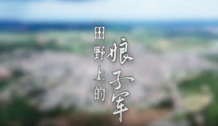 田野上的娘子軍