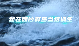 我在西沙群島當(dāng)選調(diào)生