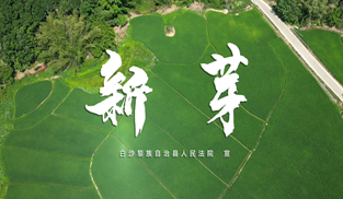 新芽