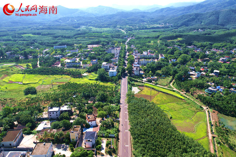 紅旗村。 人民網(wǎng)記者 孟凡盛攝