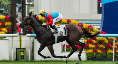 香港新年度賽馬季開鑼