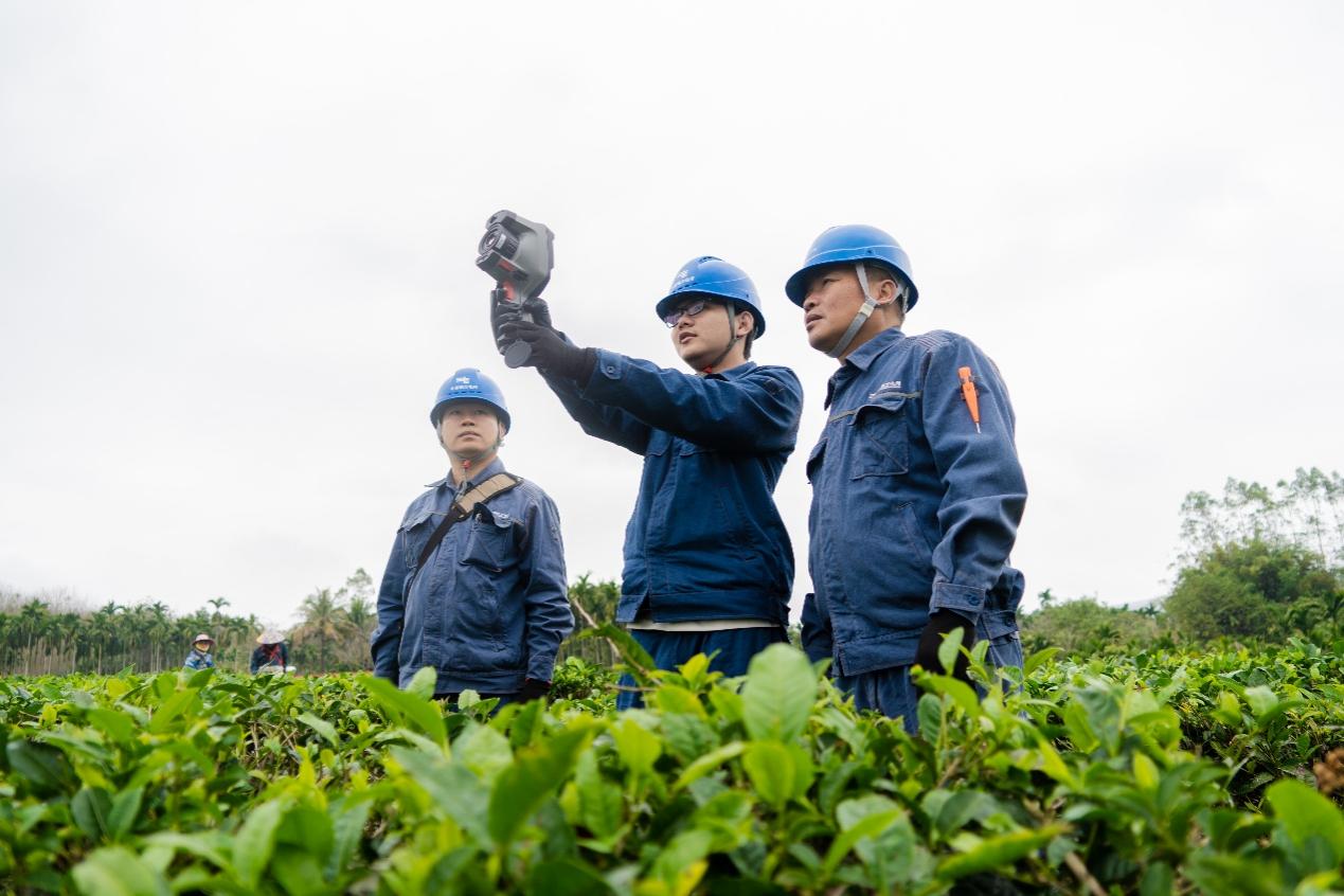海南電網(wǎng)白沙供電局組織專人對茶廠周圍的線路、設備進行特巡特維。余盛本攝