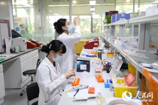 　在三亞崖州灣科技城，隆平生物技術(shù)海南有限公司年輕的科研人員專注于實驗工作。人民網(wǎng)記者 孟凡盛攝